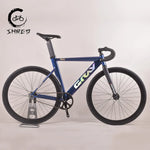 Carica l&#39;immagine nel visualizzatore di Gallery, Gray 700C Fixed Gear Bike | Aluminum Frame Carbon Fork
