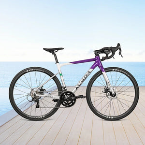 KOSDA Full Internal Cable Road Bike | Aluminum Alloy Frameset